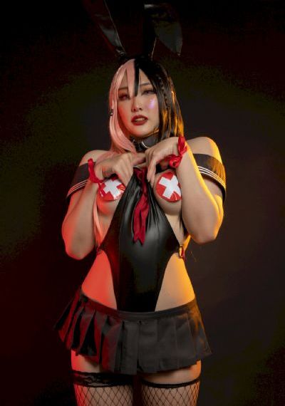 女警事业