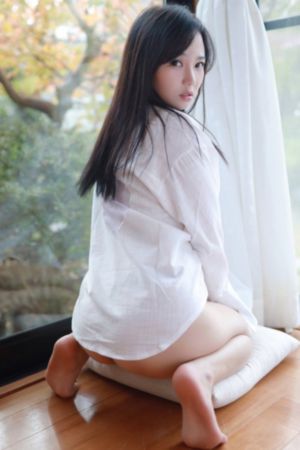 梦想成为魔法少女动画免费
