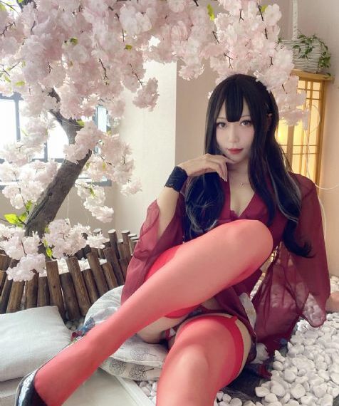 大秦赋电视连续剧